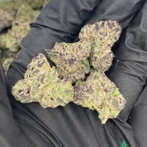 Black Cherry Pie Cannabis Strain