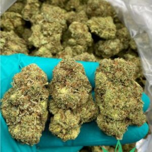 Buy Cracker Jack Marijuana Strain